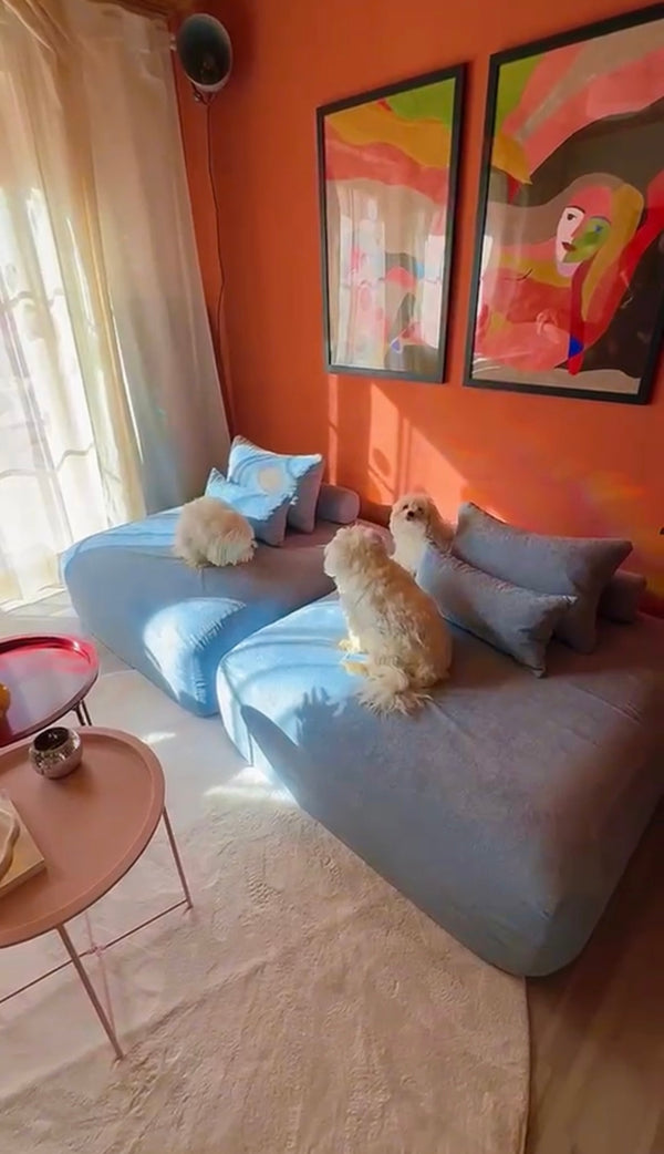 Ultimate Pet-Friendly