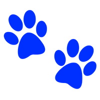 Pet friendly fabric